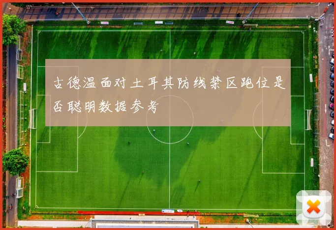 古德温面对土耳其防线禁区跑位是否聪明数据参考