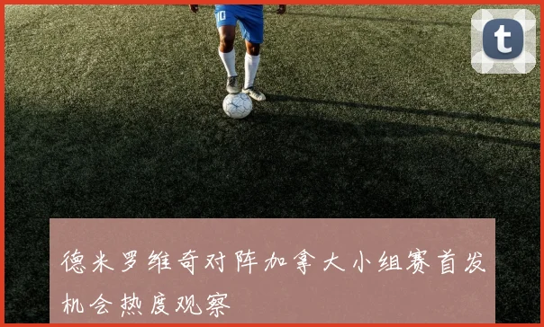 德米罗维奇对阵加拿大小组赛首发机会热度观察