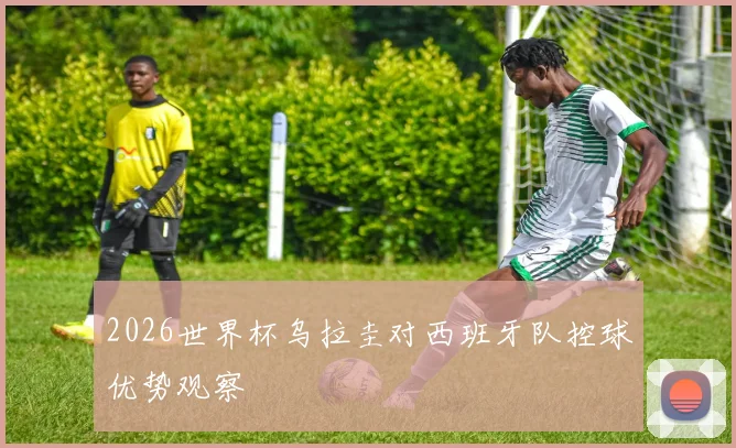 2026世界杯乌拉圭对西班牙队控球优势观察