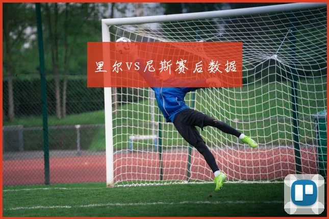 里尔vs尼斯赛后数据